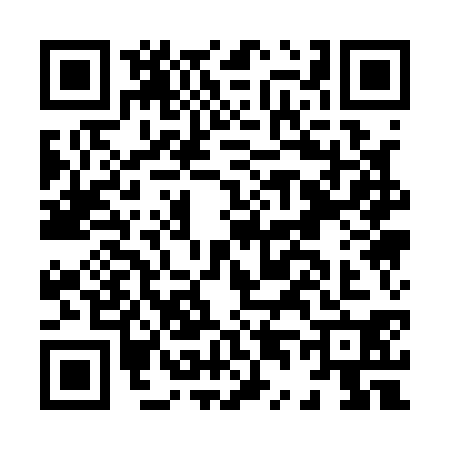 QR code for H411309