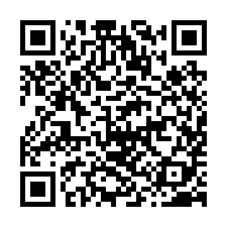 QR code for H41289