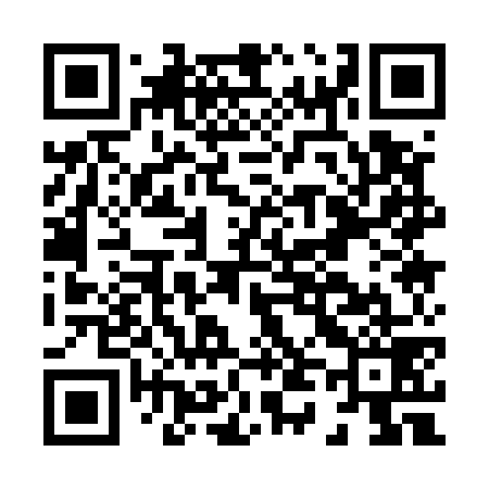 QR code for H41579