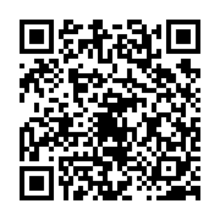 QR code for H416686