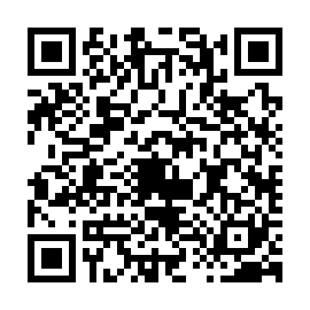 QR code for H423213