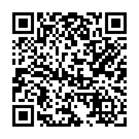 QR code for H42394