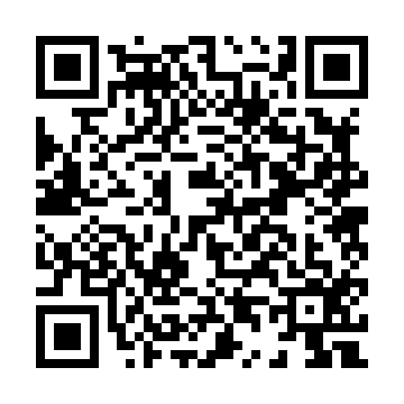 QR code for H428163
