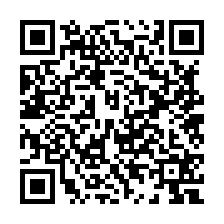 QR code for H428249