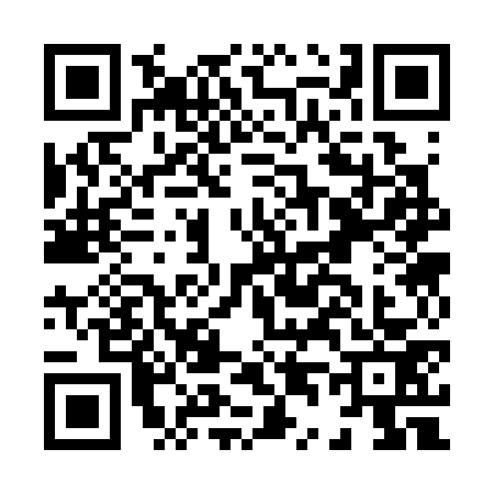 QR code for H433739