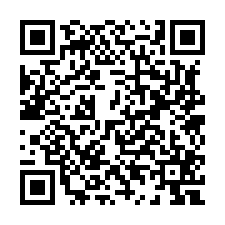 QR code for H438055