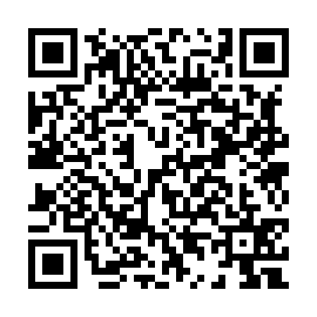QR code for H438351