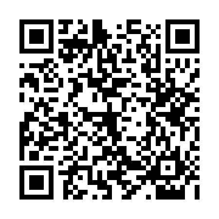 QR code for H440161