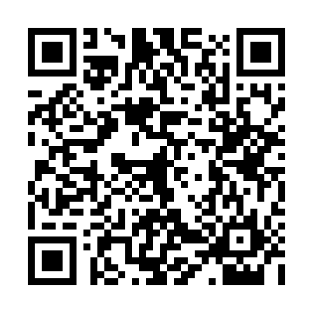 QR code for H447161