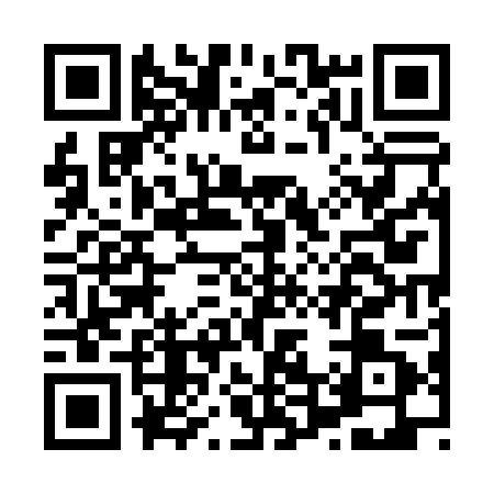QR code for H450014