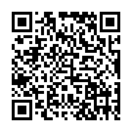 QR code for H451283