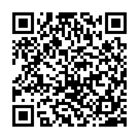 QR code for H45334