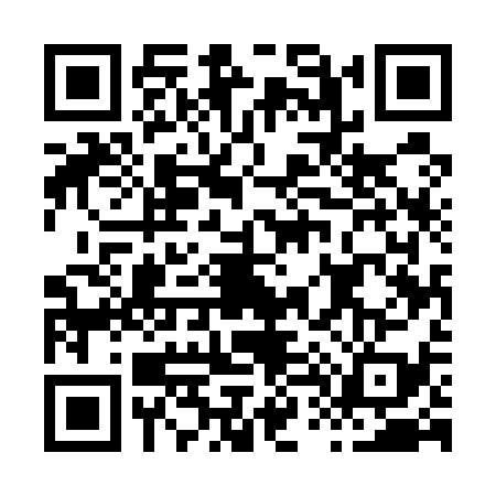 QR code for H455393