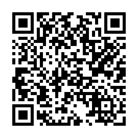 QR code for H46314