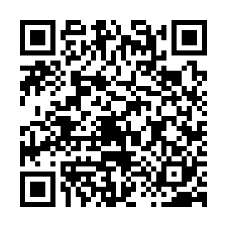QR code for H463207