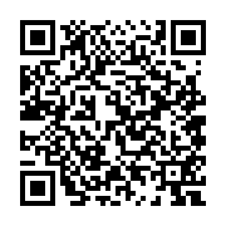 QR code for H463510