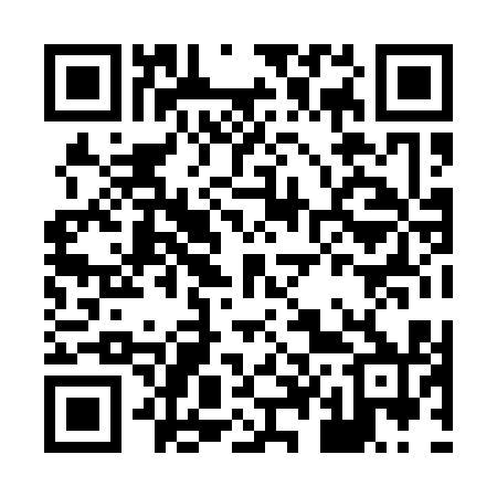 QR code for H48110