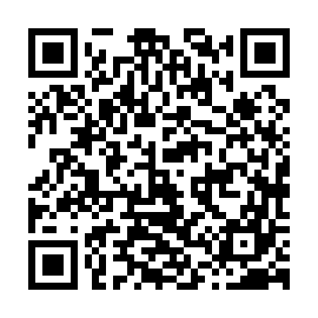 QR code for H48167