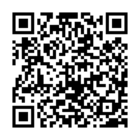 QR code for H48499