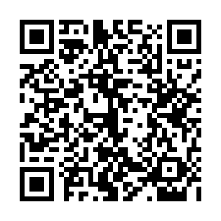 QR code for H485398