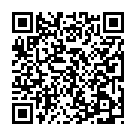 QR code for H486678