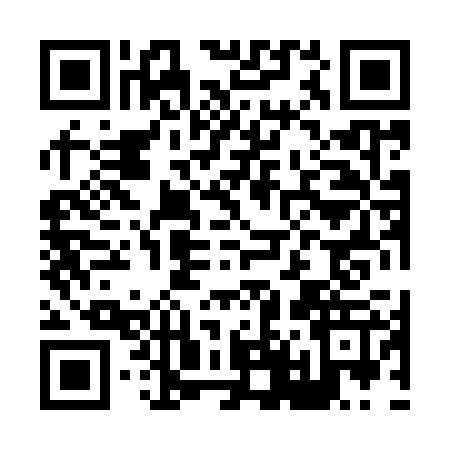 QR code for H489276