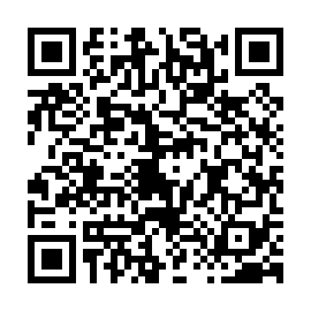 QR code for H490793