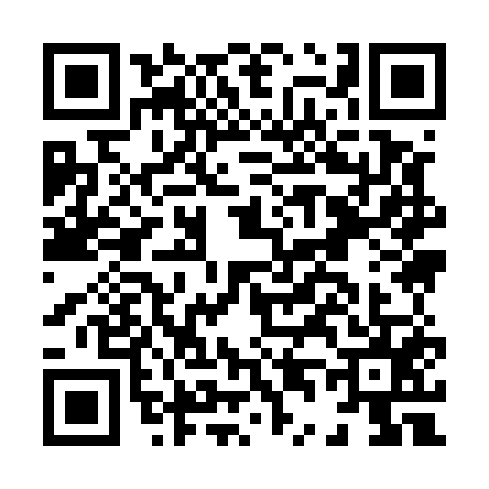 QR code for H495557