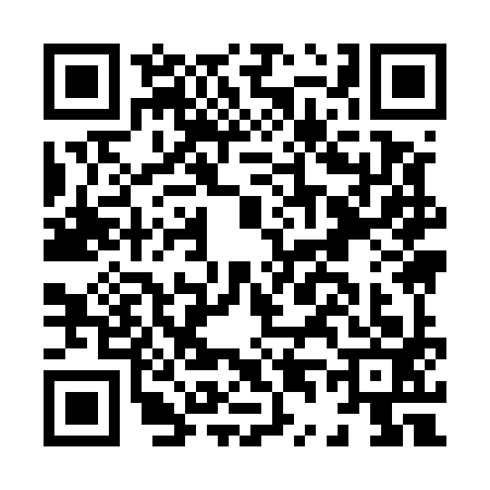 QR code for H495937