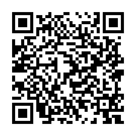 QR code for H495947