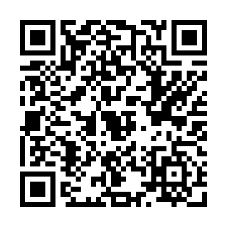 QR code for H496575