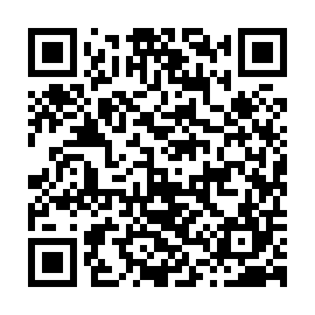 QR code for H49804