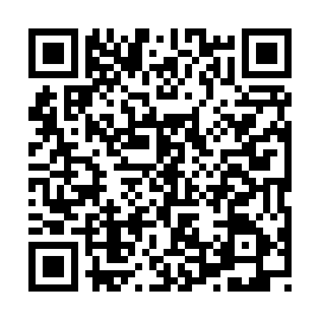 QR code for H498558