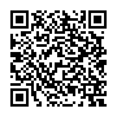 QR code for H500233