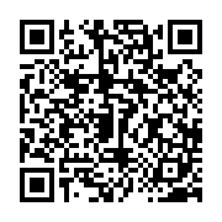 QR code for H501415