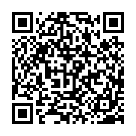 QR code for H50217