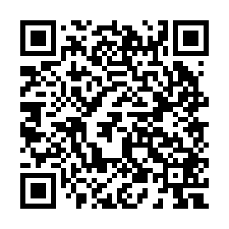 QR code for H50248