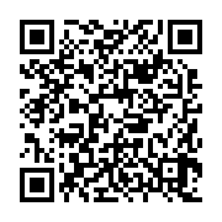 QR code for H50288