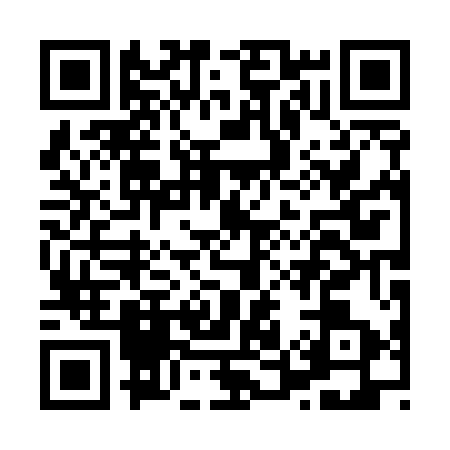 QR code for H505535