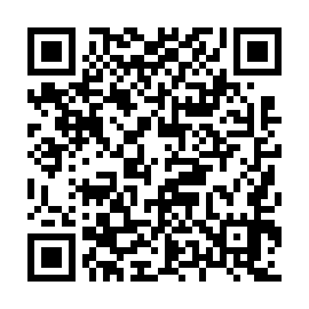 QR code for H50655