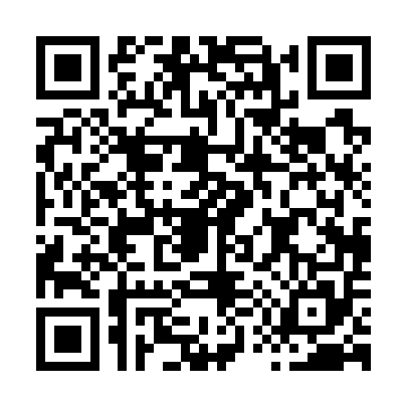 QR code for H507557
