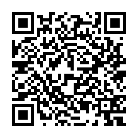 QR code for H511327