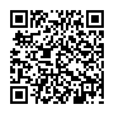 QR code for H51209