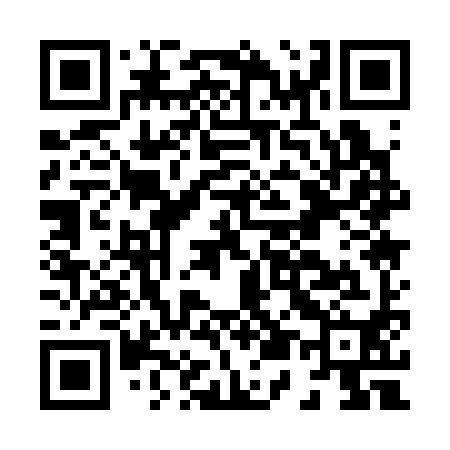 QR code for H51390