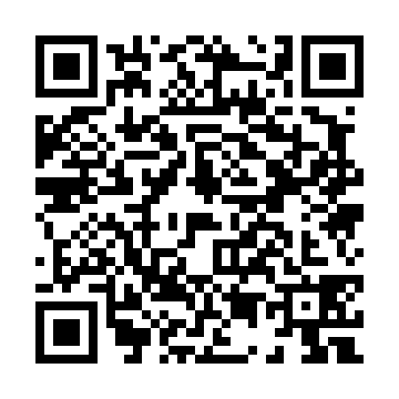 QR code for H514380