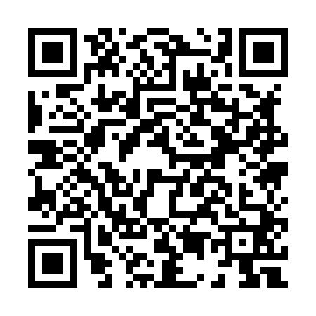QR code for H518408