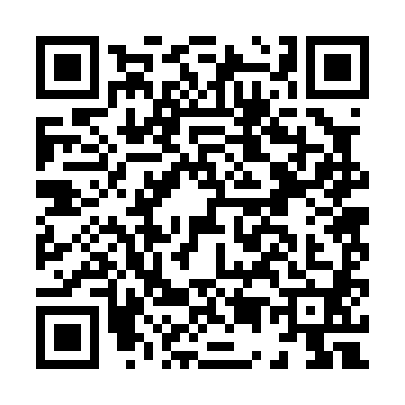 QR code for H520802