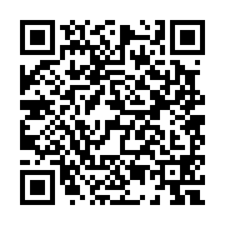 QR code for H520987