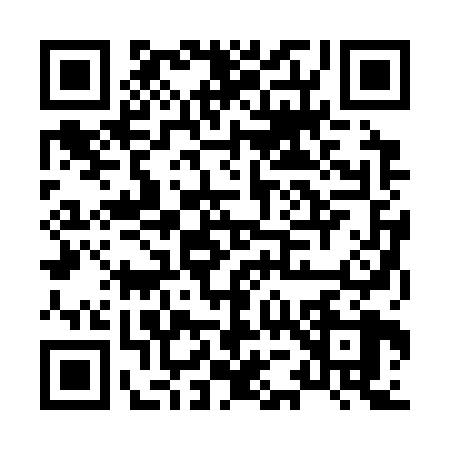 QR code for H523284