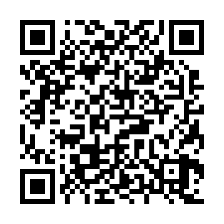 QR code for H53228